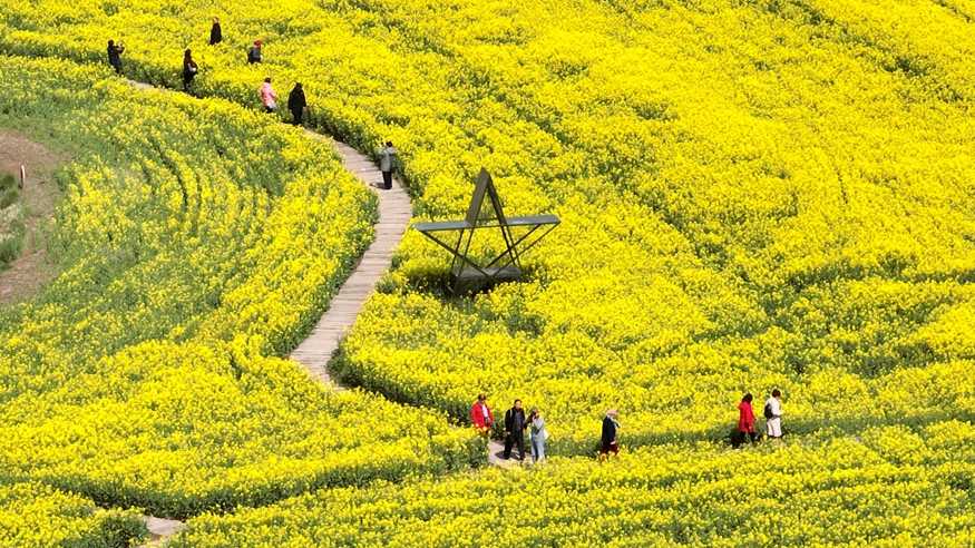 踏青赏花 乐享春光