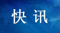 耗时七八个小时爬至树顶 他们为中国最高树量身高