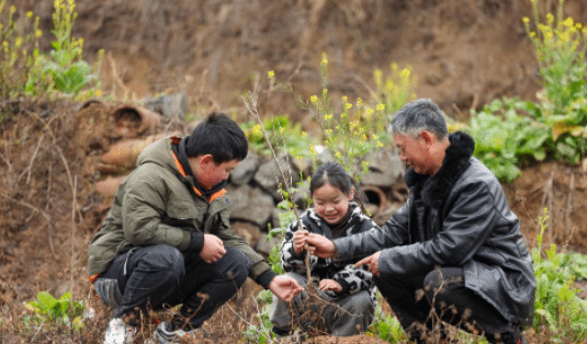 贵州春节后开工首日13万余人植树 该传统已坚持9年