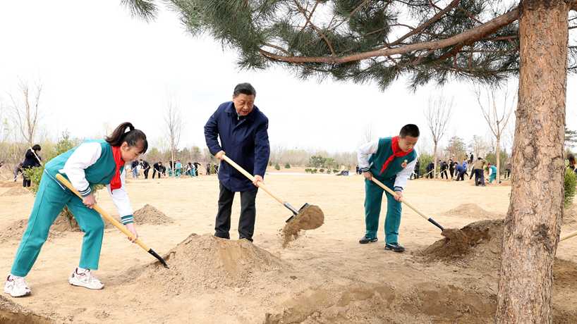 习近平参加首都义务植树活动